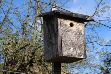 Artificial wooden bird nest in Innsbruck in Austria