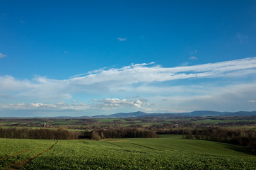 Wheat field