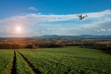 Small drone above the field - obrazy, fototapety, plakaty