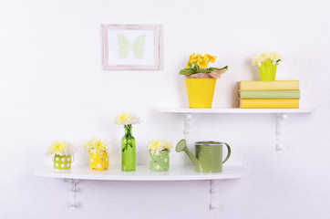 Flower on shelves on white wall background