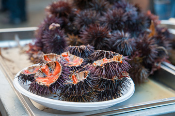 Sea urchins