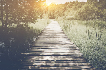 Fototapeta na wymiar Retro Hiking Path with Sunlight with Instagram Style Vintage Fil