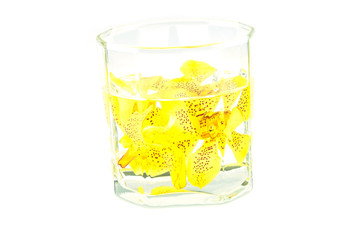 Mokkara yellow Orchid flower in glass of water  isolated on whit