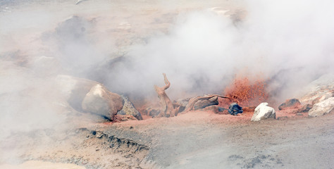 Steam and Red Mud in a Thermal Pool