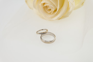 Wedding ring and white roese on veil