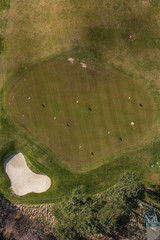 Aerial view over golf field