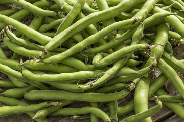 Green beans background