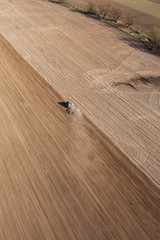 Fototapeta premium aerial view of harvest fields with tractor