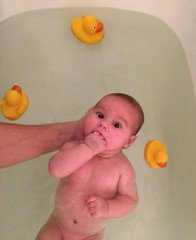 newborn bathing with duck