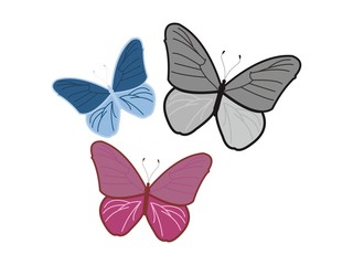 Vector Butterfly - Icon