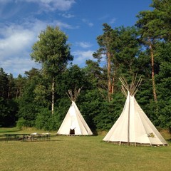 tipis