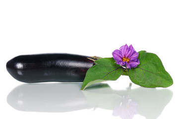 Fresh aubergine