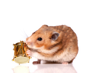 The hamster with drum isolated on a white background