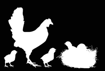 three newborn chickens and hen silhouettes near nest on black