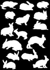 fifteen hare silhouettes collection isolated on black © Alexander Potapov