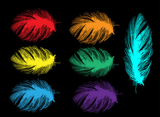 seven bright color feathers isolated on black