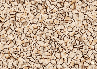 dry cracked ground texture. abstract relief pattern