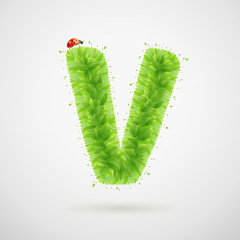 Green leaves alphabet with ladybird. Ecology summer. Letter V