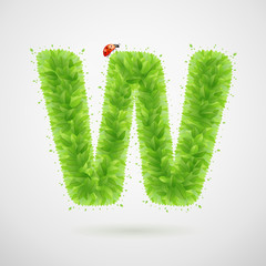 Green leaves alphabet with ladybird. Ecology summer. Letter W