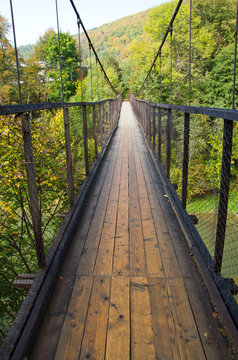 Деревянный подвесной мост © ola_pisarenko
