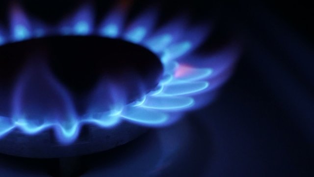 Natural Gas Stove Burner
