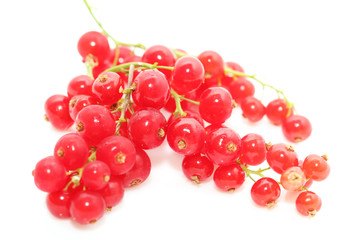 ripe red currants on a white background
