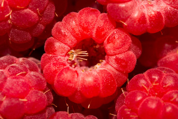 ripe raspberry as a background
