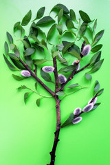 Fake green tree on a light green background