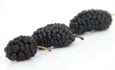 mulberry macro