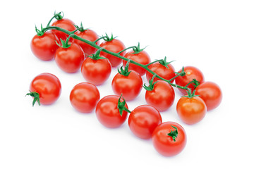 bell tomatoes on the vine