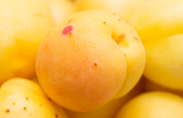 apricots as background