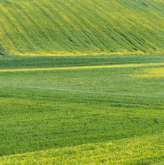 Piano Grande di Castelluccio (Italy)