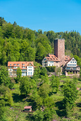 Fototapeta premium Burg Liebenzell, Bad Liebenzell