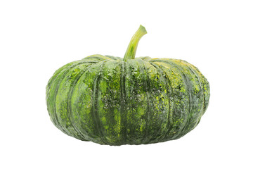 green pumpkin
