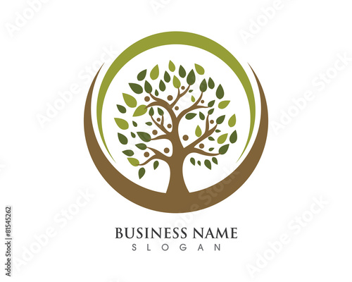  Family tree Logo 1 Stock image and royalty free vector 