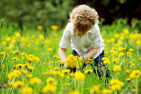 blumenwiese