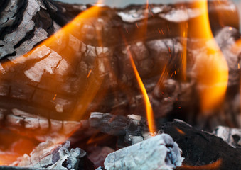 Flame of fire on the wood