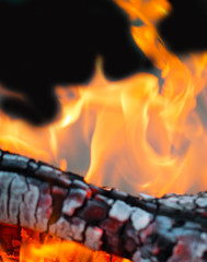 flame fire on coals