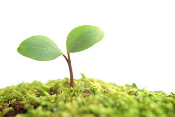 生き生きフタバ