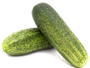 fresh cucumbers on a white background