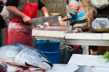 Catania fishmarket