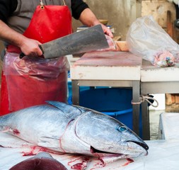 Catania fishmarket