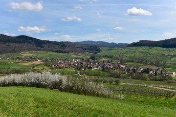 Baden-Württemberg - Eggenertal