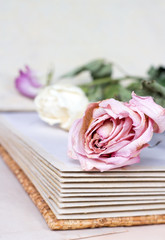 withered roses on an old book
