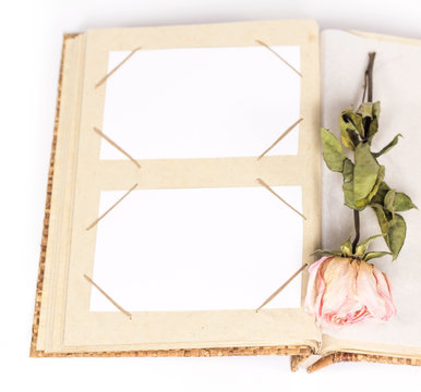 isolated photo album with frames and withered rose