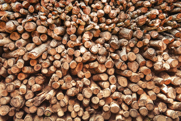 Background of dry chopped firewood logs in a pile