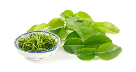 Fresh kaffir leaf on white background