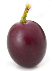 grapes on a white background