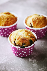 Blueberry Muffins