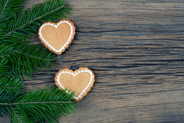 magic Christmas holiday